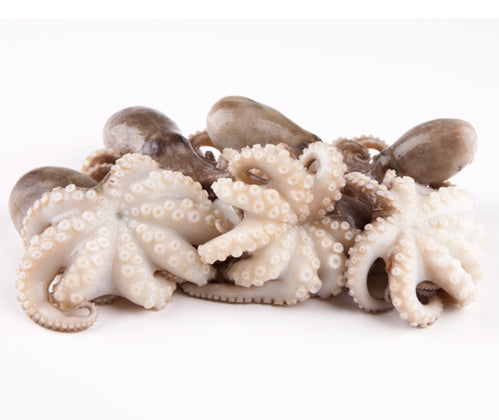 손질 된 냉동 쭈꾸미 1kg/ Pulpo Baby 1 Kg