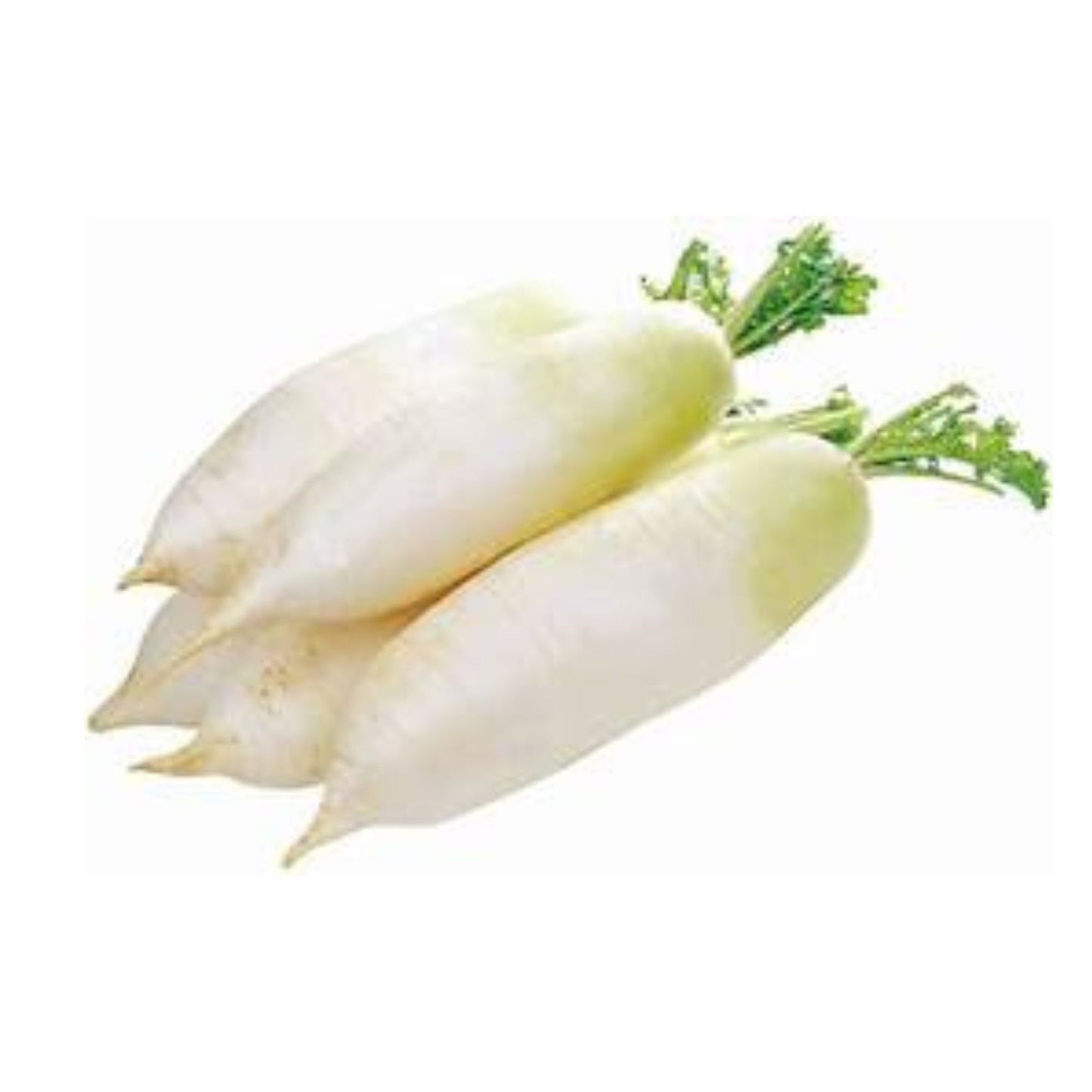 실비김치 / Kimchi Super Picante